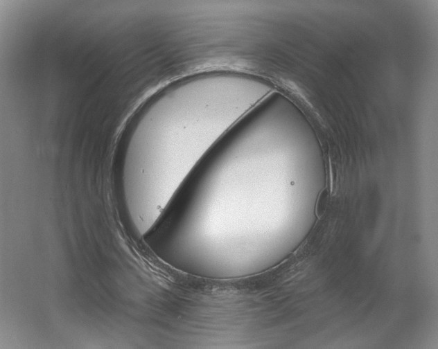 X0000064760531200602101030