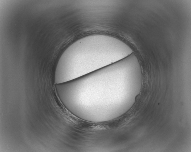 X0000064760545200602101030