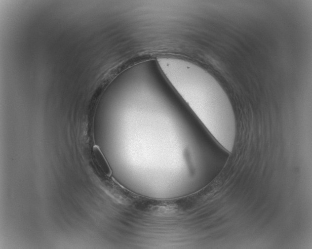 X0000064760548200602101030