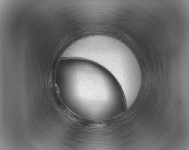X0000064760552200602101030