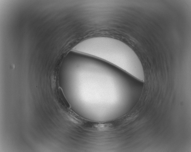 X0000064760558200602101030