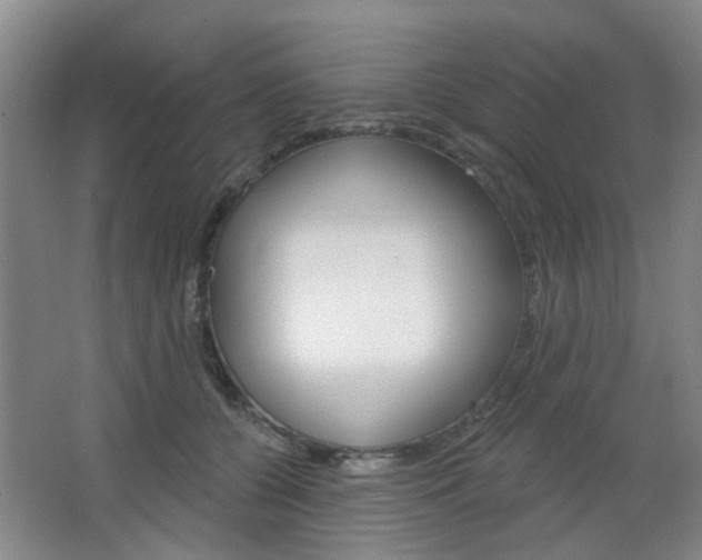 X0000064760560200602101030