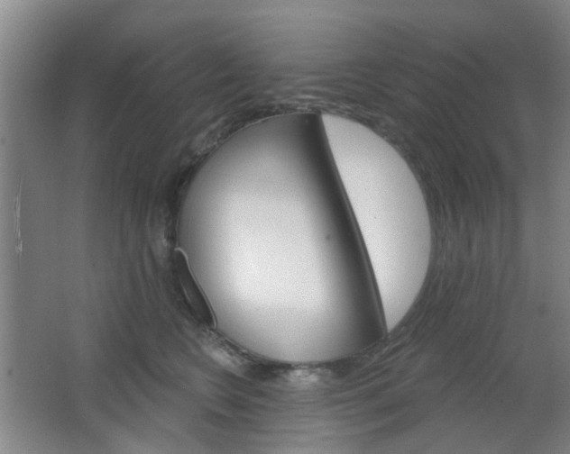 X0000064760566200602101030