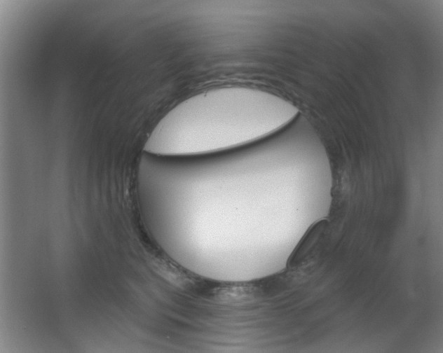 X0000064760567200602101030