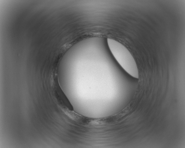 X0000064760568200602101030
