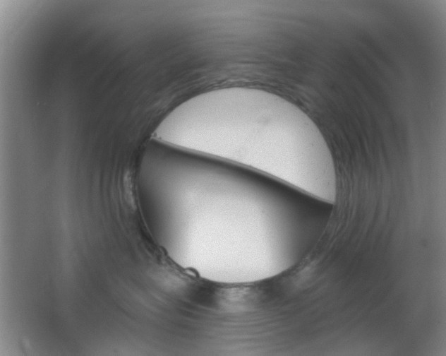 X0000064760575200602101031