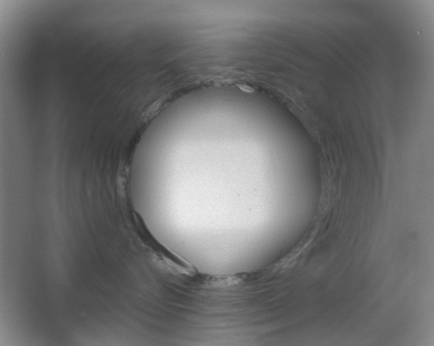 X0000064760576200602101031