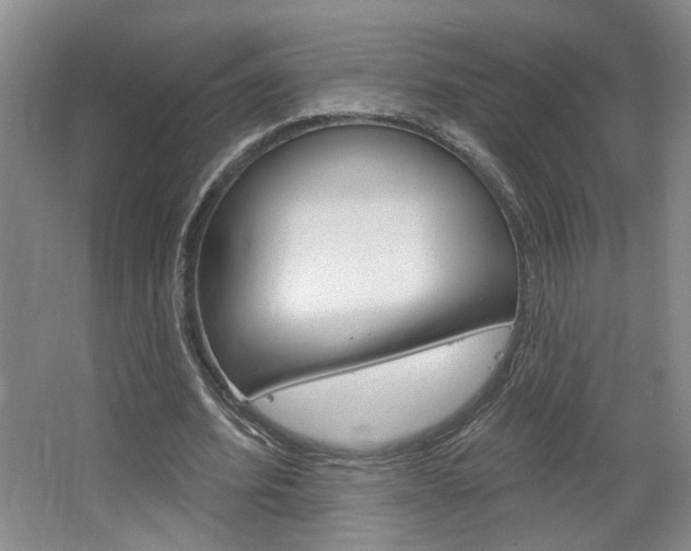 X0000064760580200602101030