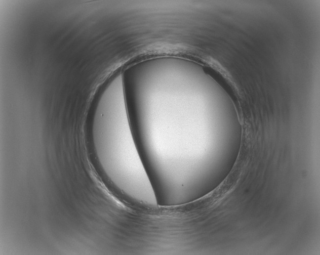 X0000064760581200602101030