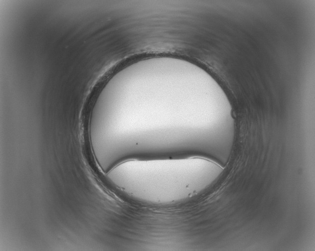 X0000064760584200602101030