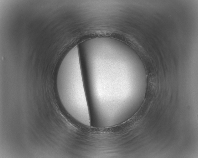 X0000064760593200602101030