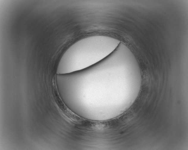X0000064760598200602101029