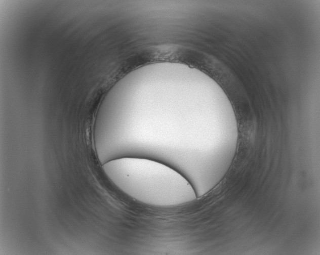 X0000064760602200602101029