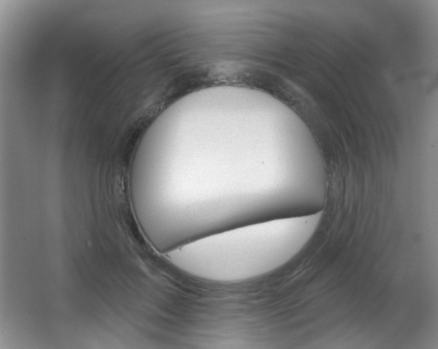 X0000064760603200602101029