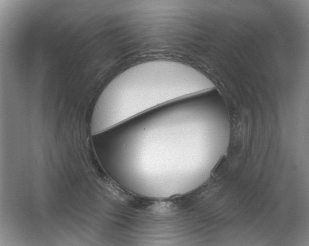 X0000064760609200602101029
