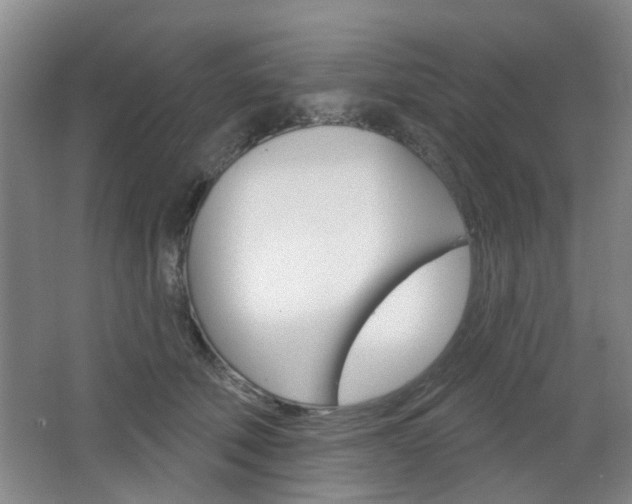 X0000064760610200602101029