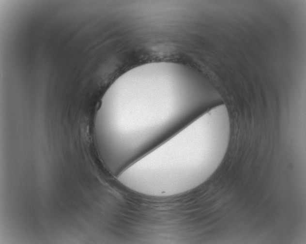 X0000064760615200602101029