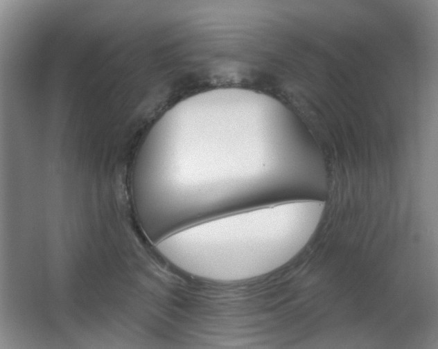 X0000064760616200602101029