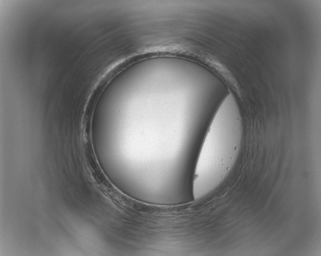 X0000064760628200602101028