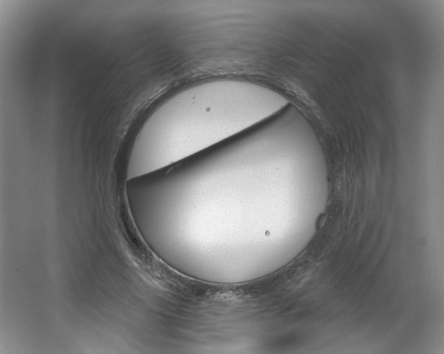 X0000064760635200602101028