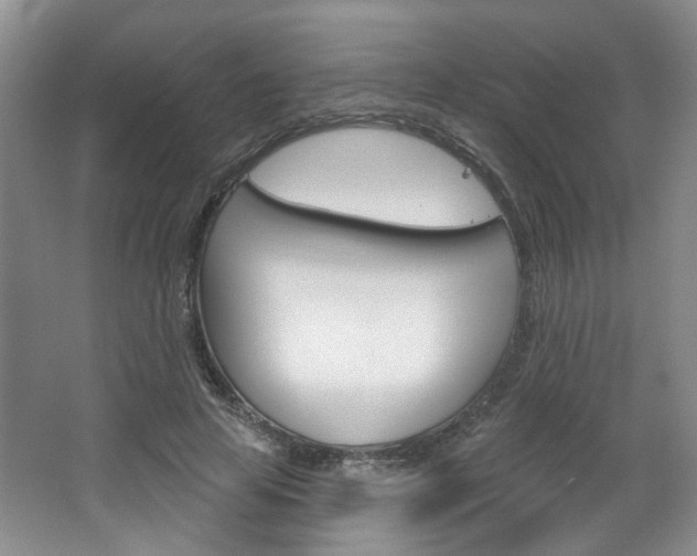 X0000064760641200602101028