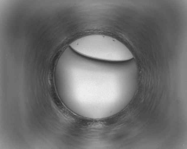 X0000064760643200602101029