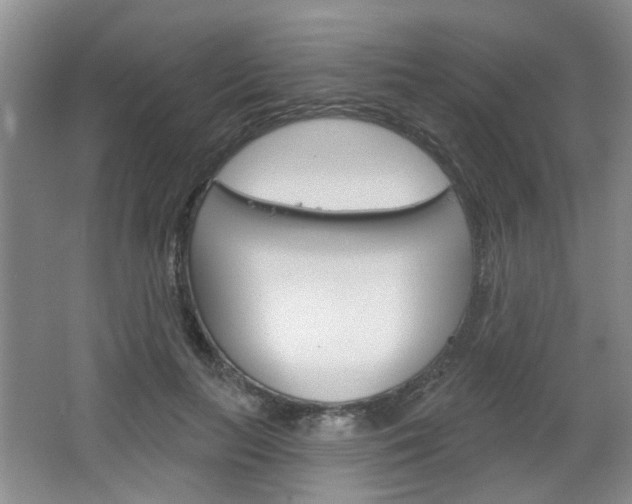 X0000064760647200602101029