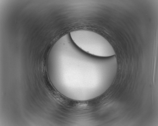 X0000064760651200602101029