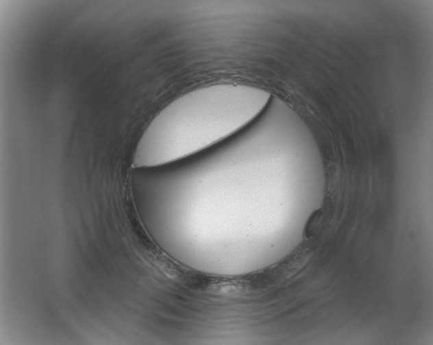 X0000064760655200602101029