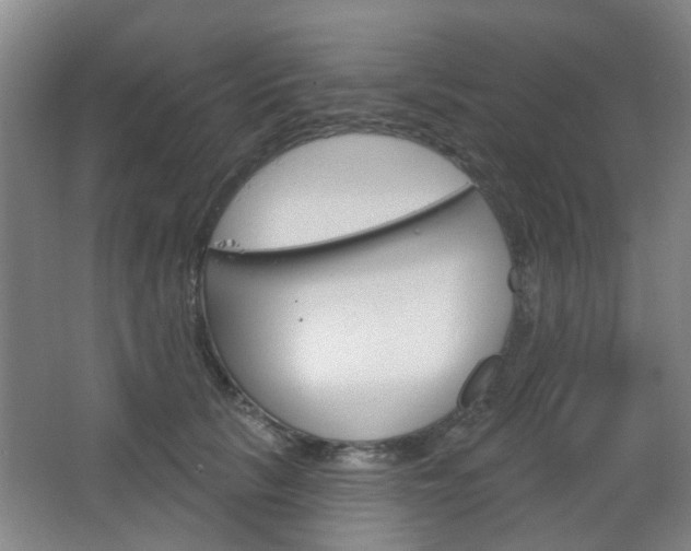 X0000064760657200602101029