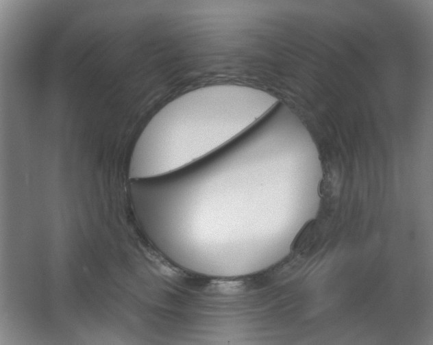 X0000064760665200602101029