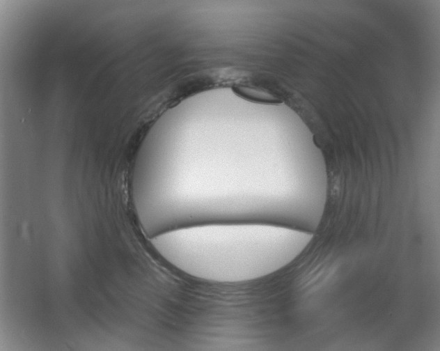 X0000064760666200602101029