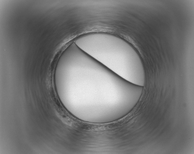 X0000064760675200602101028