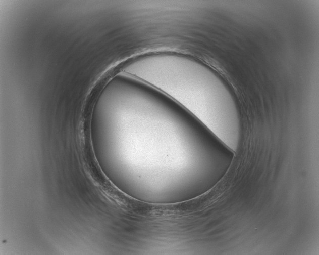 X0000064760676200602101028