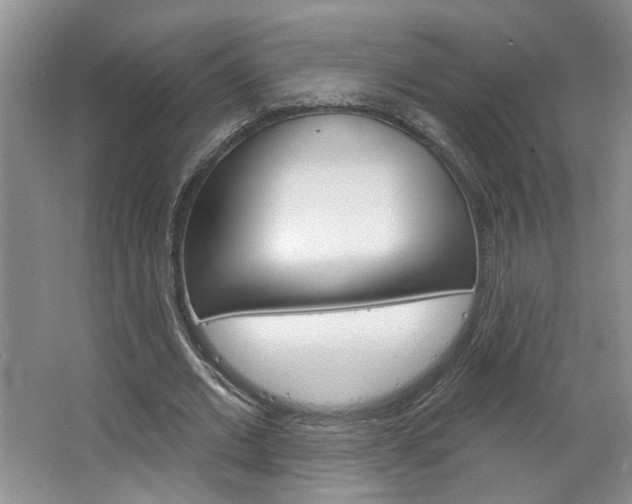 X0000064760677200602101028