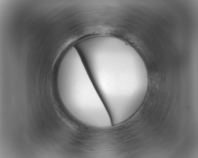 X0000064760679200602101028