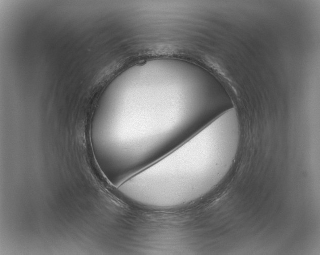 X0000064760681200602101028