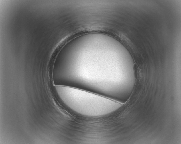 X0000064760684200602101028