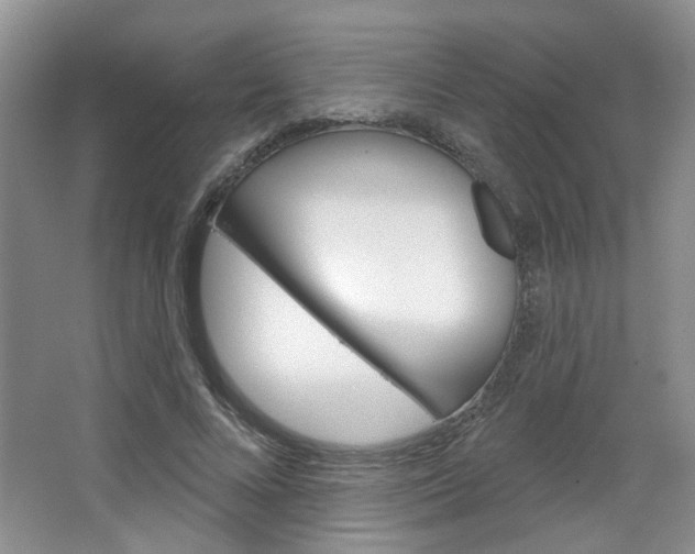 X0000064760688200602101028