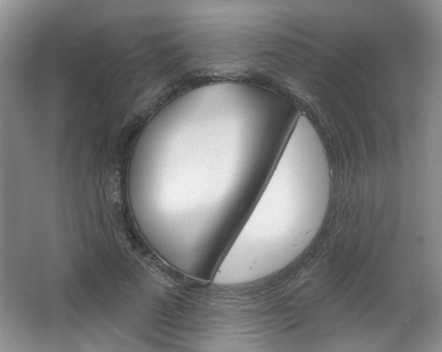 X0000064760689200602101028