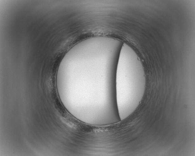 X0000064760690200602101028