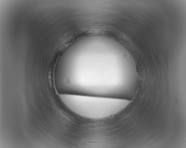 X0000064760696200602101028