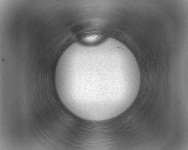X0000064760697200602101028