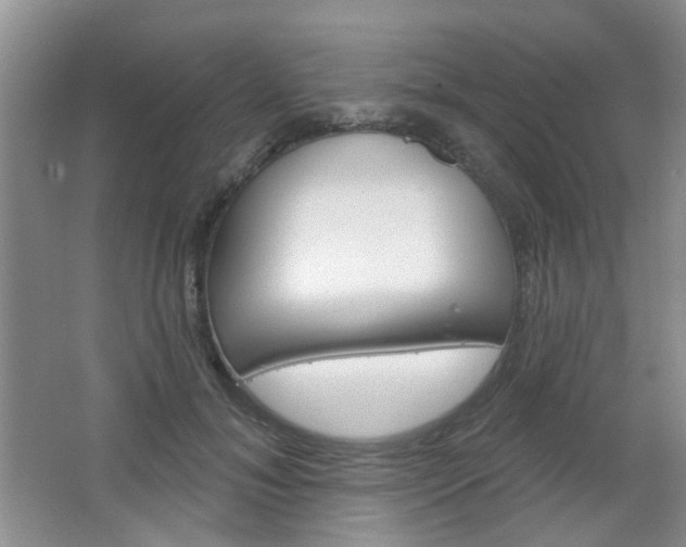 X0000064760700200602101028