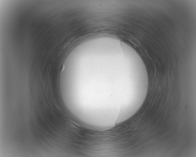 X0000064760701200602101028