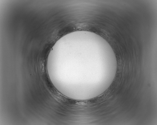 X0000064760703200602101028