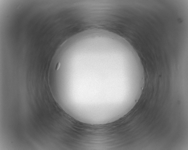 X0000064760705200602101028