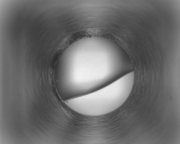 X0000064760712200602101028