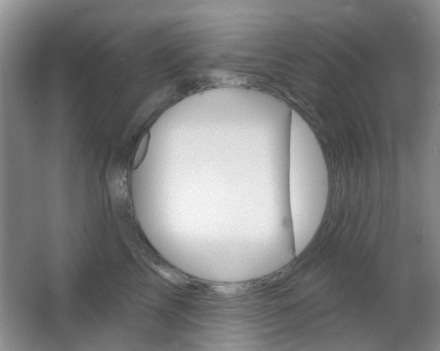 X0000064760713200602101028