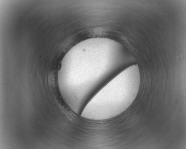 X0000064760715200602101027